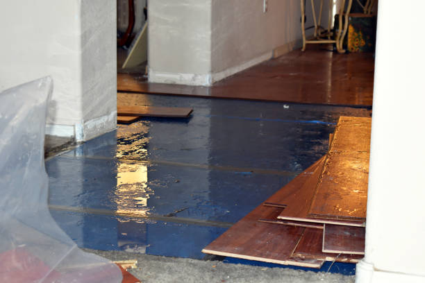 Professional Basement Flood Cleanup technician working in Donnelsville, OH